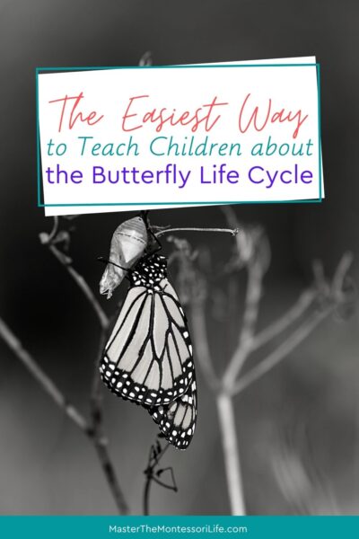Come and learn about the easiest way to teach children about the butterfly life cycle The Montessori Way.
