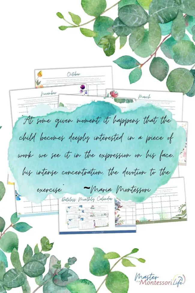 Come and find out how you can develop a plan to be organized, inspired and motivated by Maria Montessori quotes.