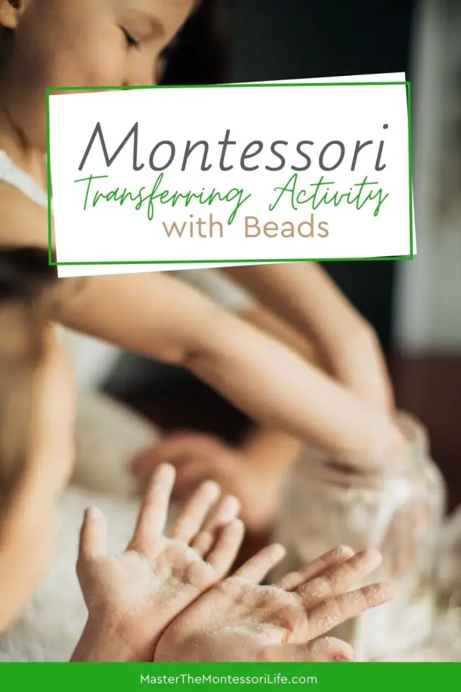 In this post, we'll walk you through a straightforward starting activity and pointers on what to pay attention to when it comes to Montessori transferring activities.