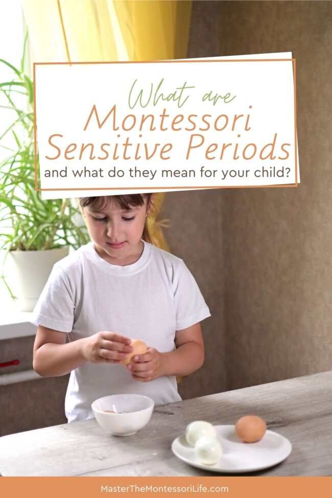 By following the Montessori sensitive periods, you can help your child reach their fullest potential in their early years!