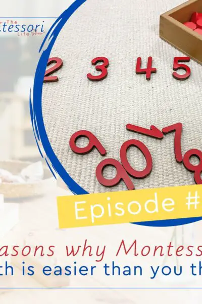Let's debunk some of these anxieties during this training session and discuss why Montessori Math is less difficult than you would expect.