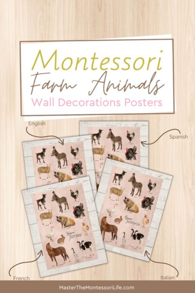 Are you looking for a method to give your Montessori classroom some personality? Take a look at these incredible Farm Animals Wall Decor Posters!