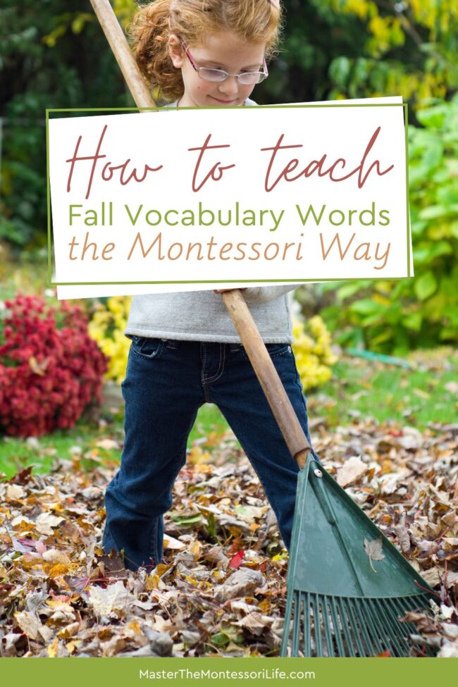 Let's get into the Fall mood by learning how to teach Fall vocabulary words the Montessori way!