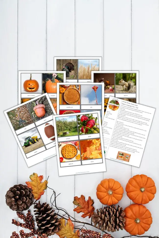 Let's get into the Fall mood by learning how to teach Fall vocabulary words the Montessori way!