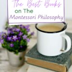 Come and discover a wonderful list of the best books on The Montessori Philosophy for teachers and parents as well as other resources.