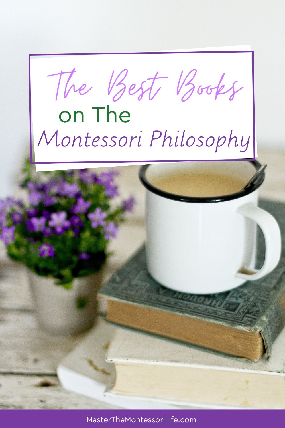 The Best Books on The Montessori Philosophy