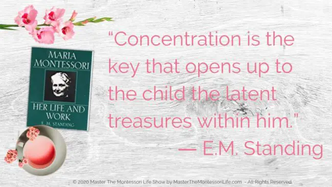 In this two-part training, we will be talking about another set of 3 of the best Montessori books that you MUST have and why!