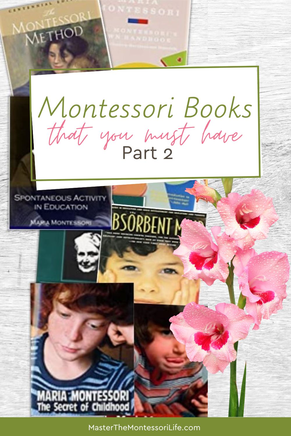 Montessori books that you must have (Part 2)