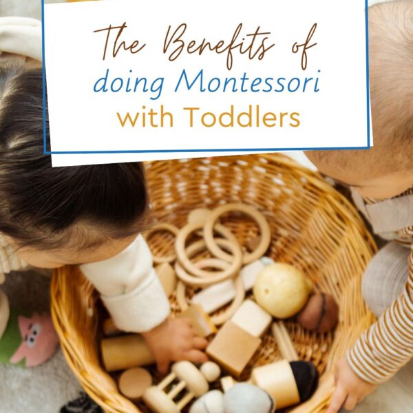 Live Trainings - Master the Montessori Life
