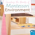 In the world of Montessori education, aesthetics, also known as the beauty of Montessori, do a lot more than just make things look nice.