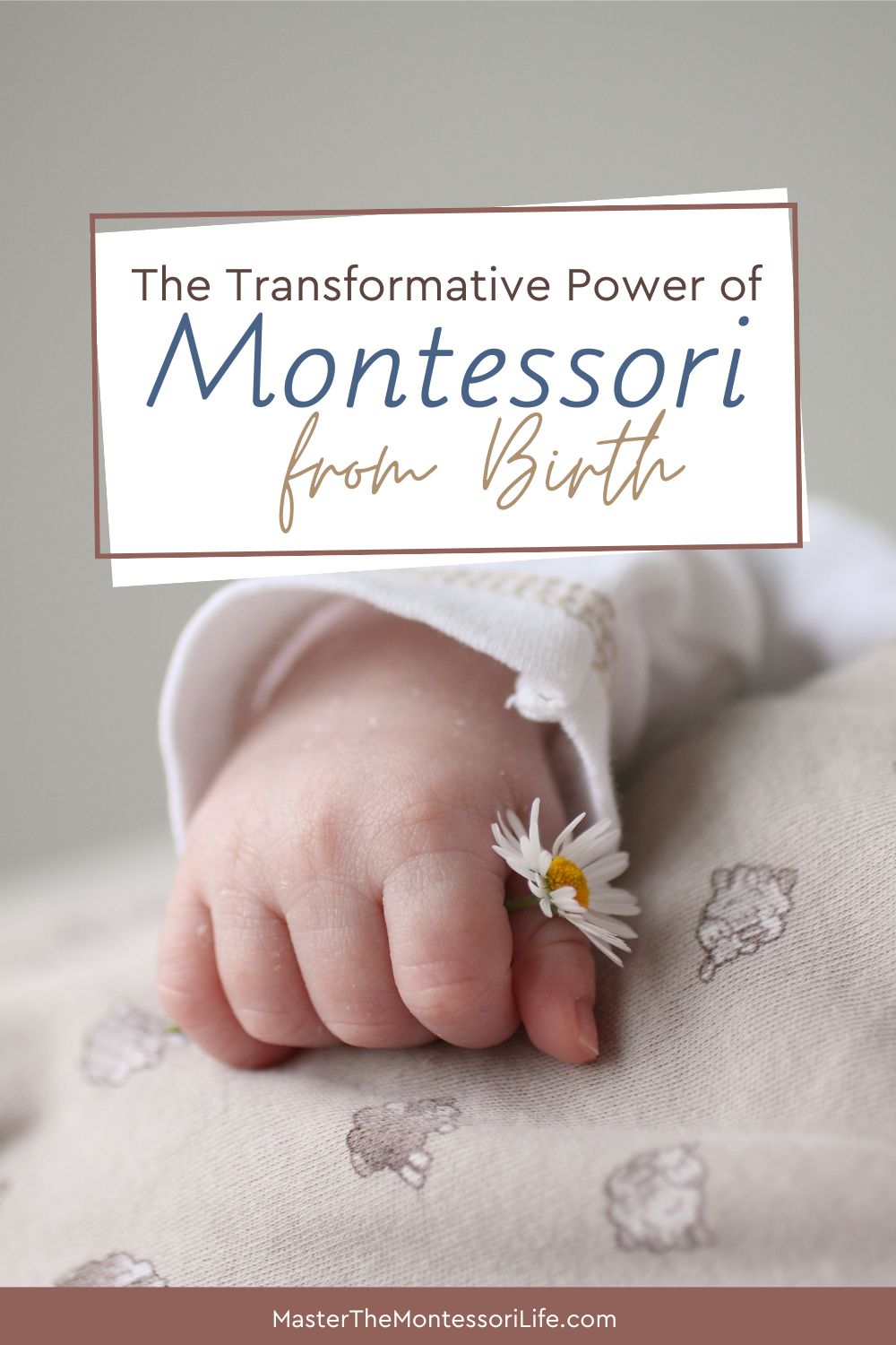 The Transformative Power of Montessori from Birth