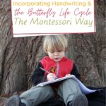 The butterfly life cycle the Montessori way is the best method of learning it because Montessori education emphasizes the importance of hands-on learning and self-discovery.