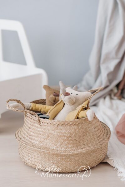 Baby's First Year: Applying Montessori Principles at Home - Master the ...