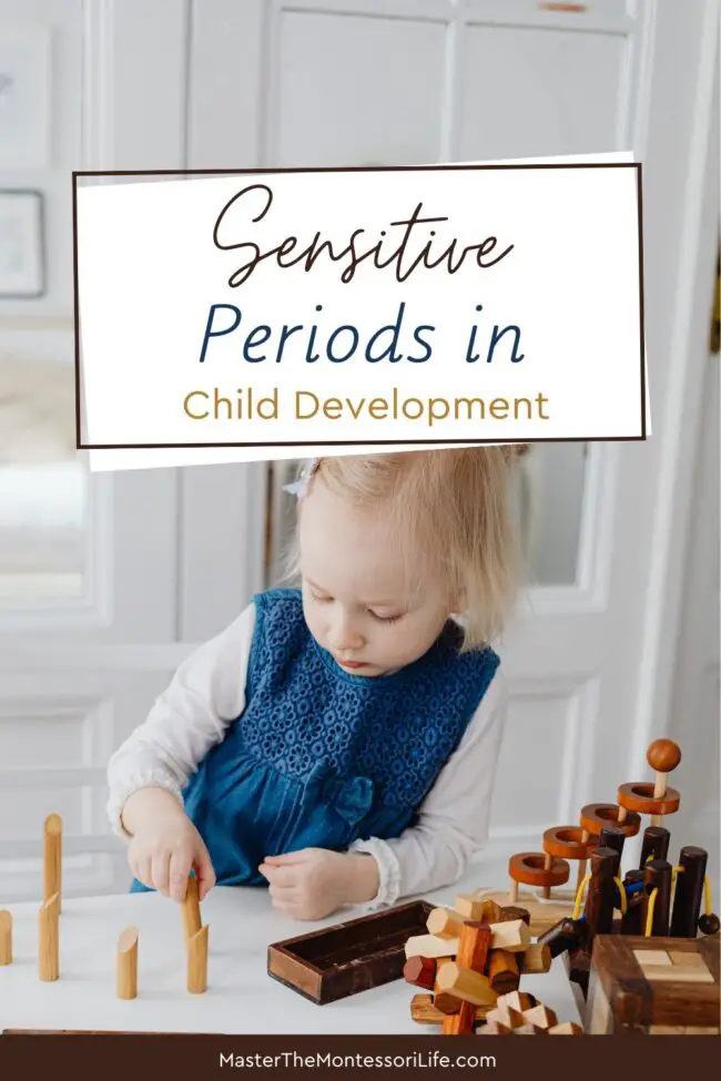 These sensitive periods are unique windows of opportunity that help children easily absorb important skills and concepts.