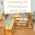 The Montessori Work Cycle is a foundational element of the Montessori Method. It promotes independence, concentration, and a love for learning.