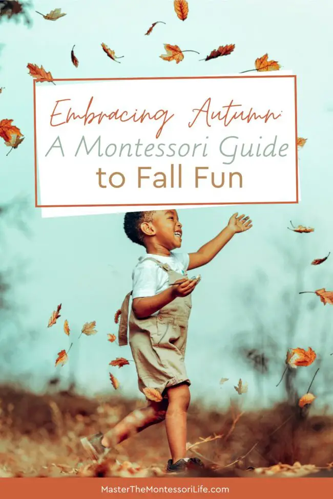 With a Montessori approach, we can transform the beauty of fall into meaningful, hands-on learning experiences.
