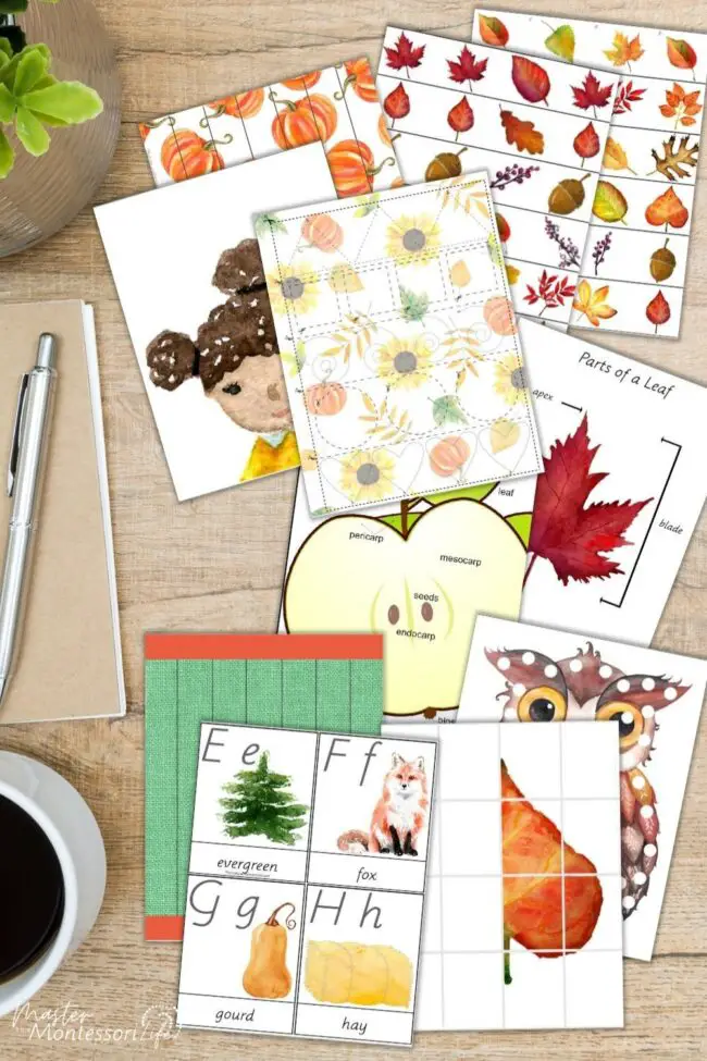 With a Montessori approach, we can transform the beauty of fall into meaningful, hands-on learning experiences.