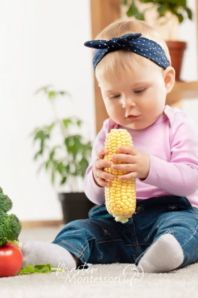 These simple Montessori Practical Life activities for Fall are easy to do anytime you have the materials ready.