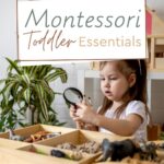 The Montessori method offers a pathway with a series of Montessori toddler essentials that you will find helpful.