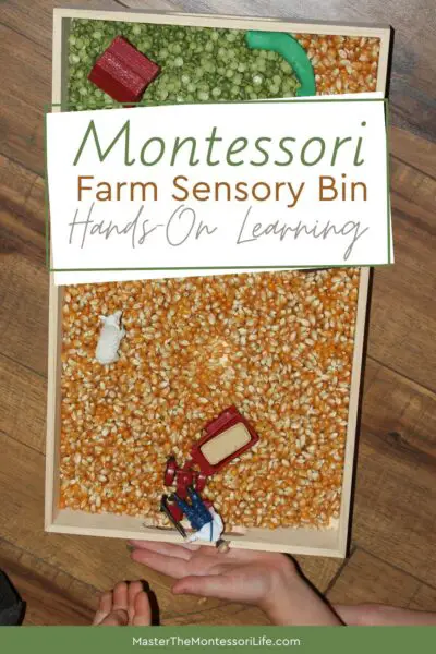 A Montessori farm sensory bin is simple to assemble, rooted in purposeful work, and designed to invite deep exploration.