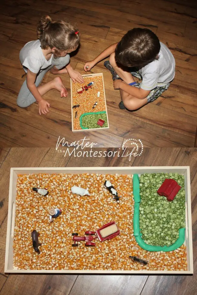 A Montessori farm sensory bin is simple to assemble, rooted in purposeful work, and designed to invite deep exploration.