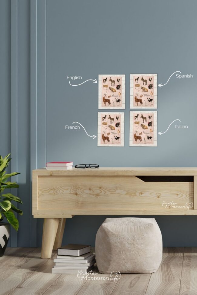 When you are looking for Montessori class decoration ideas, it is important to remember that decorating a Montessori environment is about much more than making a classroom look pretty.