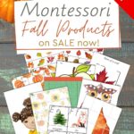 Fall products can help you bring the beauty of Autumn into your learning environment with activities that invite children to observe, explore and discover.