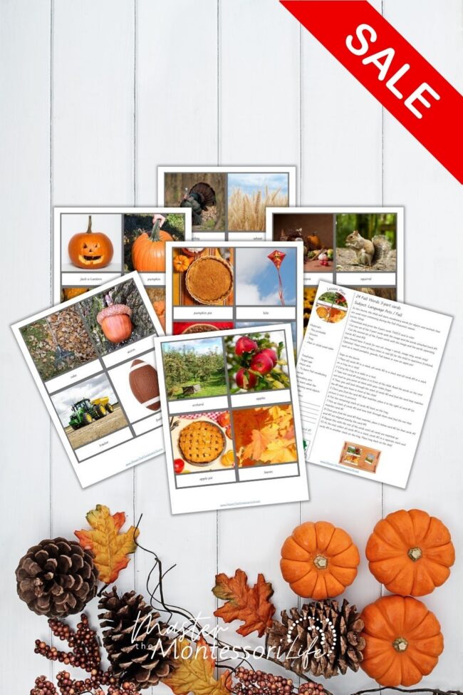 Fall products can help you bring the beauty of Autumn into your learning environment with activities that invite children to observe, explore and discover.