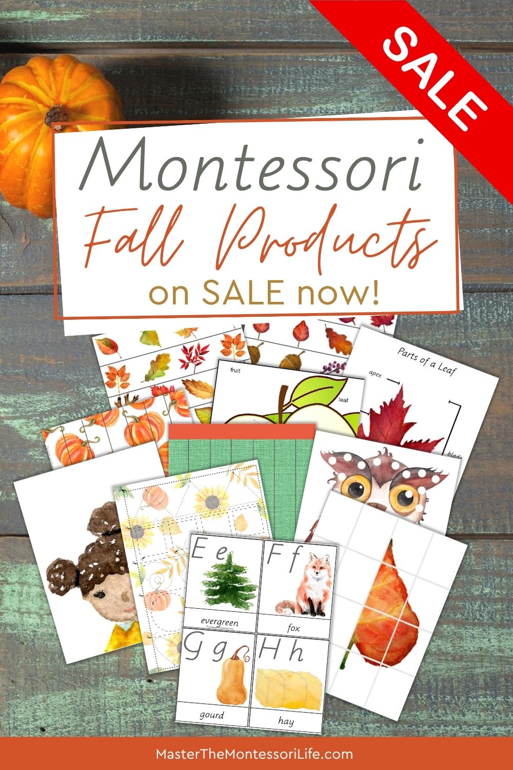 Montessori Fall Products on Sale: 3 Ways to Bring Autumn into Your Learning Space